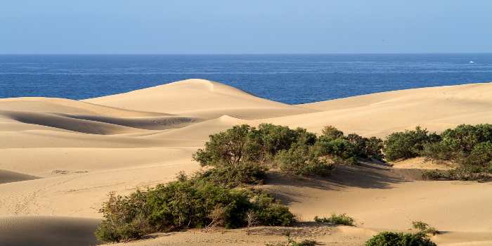 Bild vom den Dünen Maspalomas