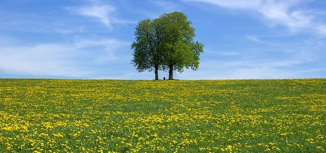 Straubing-Bogen das Urlaubsland in Bayern Straubing-Bogen das Urlaubsland in Bayern