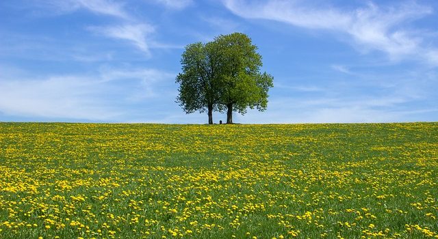 Straubing-Bogen das Urlaubsland in Bayern