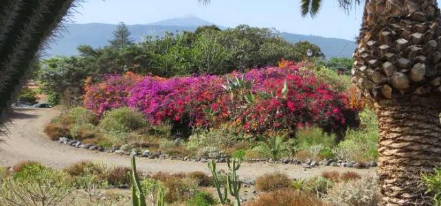 Wandern auf Teneriffa Wandern auf Teneriffa