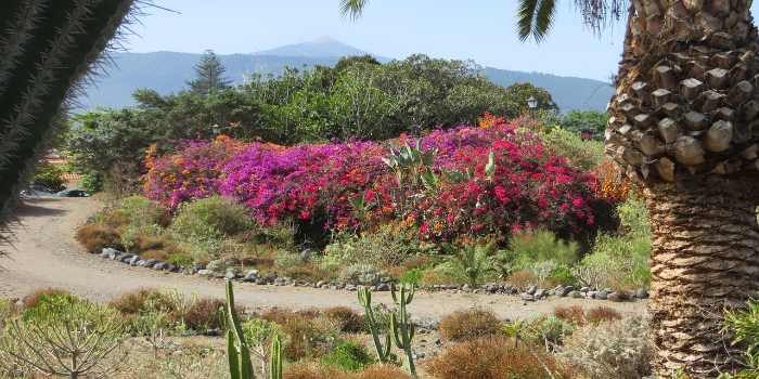 Wandern auf Teneriffa