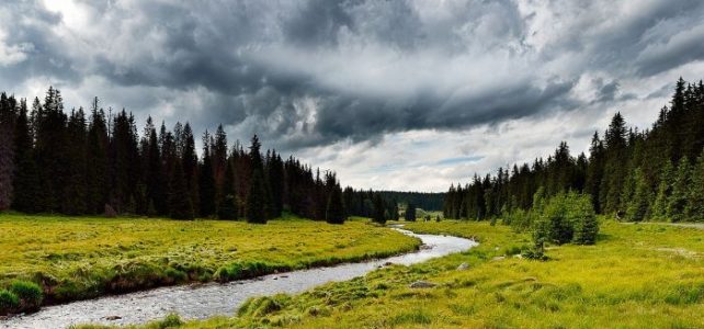 Wer die Stille sucht, der findet sie im Böhmerwald Wer die Stille sucht, der findet sie im Böhmerwald
