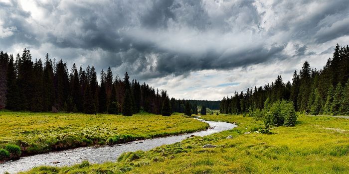 Ein kleiner Fluss in mitten der Natur des Böhmerwald