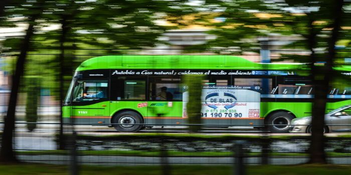 Ein Kleinbus fährt entlang einer Baumallee