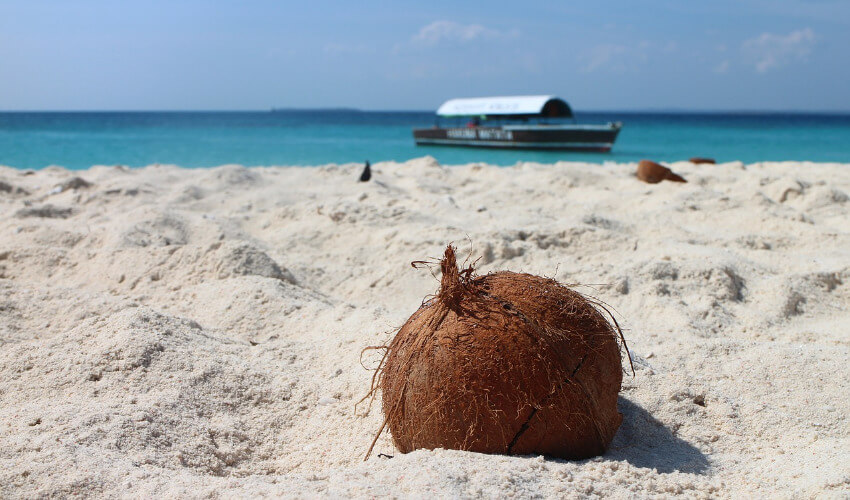 Eine Kokosnuss liegt einsam an einem weißen Sandstrand mit dem Meer im Hintergrund.