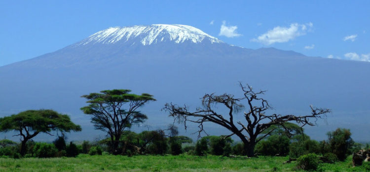 Wissenswertes über den Kilimandscharo in Afrika Wissenswertes über den Kilimandscharo in Afrika