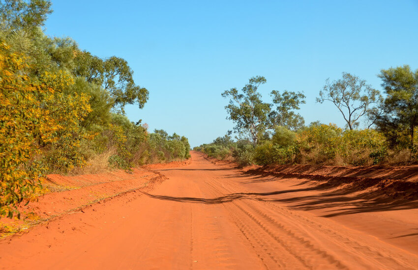 Eine Straße aus rotem Sand. Links und rechts davon Sträucher und Bäume.