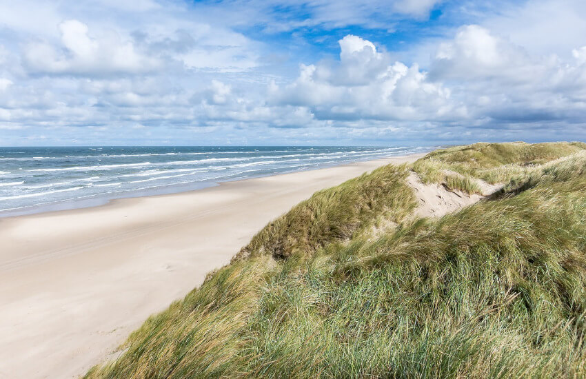 Ein Sandstrand mit einem Hügel mit Dünen überwachsen im Hintergrund.