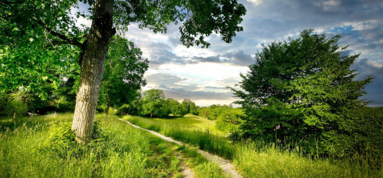 Die 5 schönsten Wanderwege rund um Rattenberg Die 5 schönsten Wanderwege rund um Rattenberg