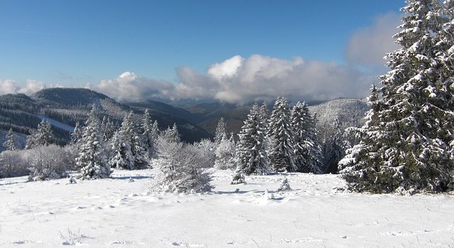 Ski-Urlaub der besonderen Art – Heliskiing in Österreich und der Welt